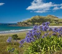 Great Barrier Island Great Barrier Island